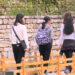 GAB proposes a minimum qualification requirement of a university degree for tour guides