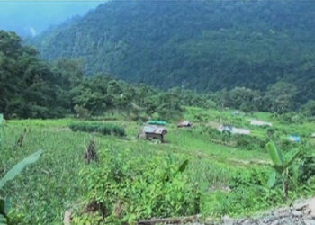 Restoring irrigation canal after almost two decades brings joy to the farmers, Pema Gatshel