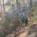 First forest fire of the season in Punakha