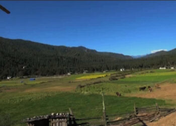 Better road enhances livelihood of Sheley, Wangdue Phodrang