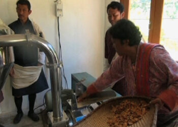 Turmeric powder production to pick pace, Zhemgang