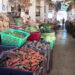 Chilli shortage in Samdrup Jongkhar