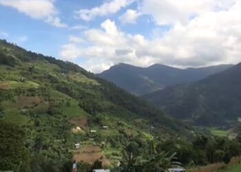 Police forward the case of 16 people playing archery during the lockdown to court, Monggar