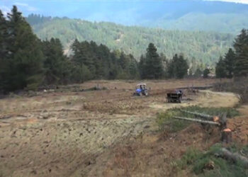 FMCL initiates potato cultivation in over eight acres of fallow land, Chhumig in Bumthang