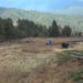 FMCL initiates potato cultivation in over eight acres of fallow land, Chhumig in Bumthang