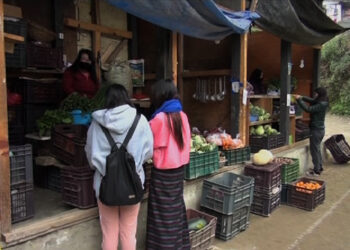 Kanglung in need of a proper vegetable shed