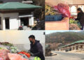 Construction of vegetable markets in the zones to complete by the end of next month, Thimphu