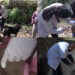 Mass vaccination against rabies brings relief to residents, Kanglung