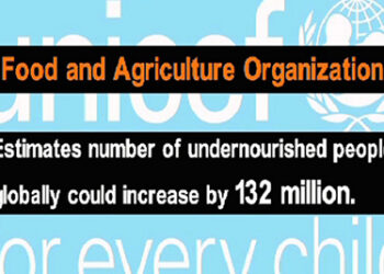 UN calls for a transformation of food systems in Asia and the Pacific for nutritious, safe, and sustainable diets
