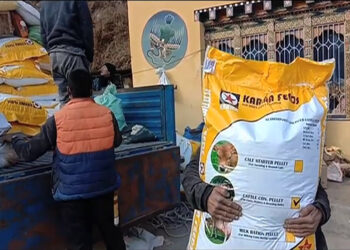 Paro Dzongkhag ensured undisrupted feed supply to the highlanders