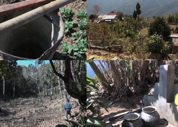 Reviving lake for irrigation water, Pema Gatshel