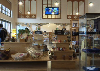 CSI export market affected by the pandemic