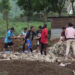 Bammung Entrepreneur Club- hands-on experience cultivating mushrooms, Yurung Central School