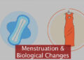 Biological changes- Menstrual Hygiene Day