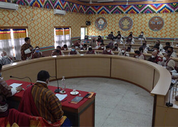 Samtse’s cement brick quality questioned in Dzongkhag Tshogdu