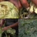 Farmers in Choongkha lose their crops to new pests, Chhukha