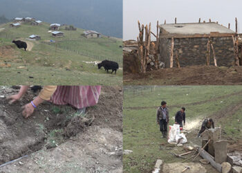 Water scarcity in Charpaling pastureland in Merag is coming to an end, Trashigang