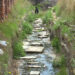Reconstruction of Chubachhu-Kawajangsa-Motithang footpath taking too long