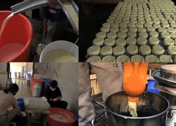 Haa Valley Cooperative, a successful business