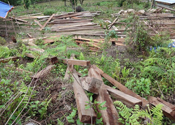 Samtse DT proposes reducing the rural subsidised timber allotment eligibility period to 12 years from 25