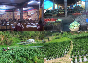 Tsirang DT proposes limiting vegetable imports to solve marketing issues for farmers