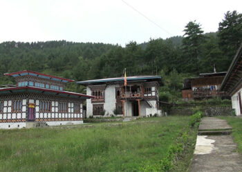 Chhoekhor Gewog fails to deposit service charges in gewog account and complete farm road construction; catches audit attention