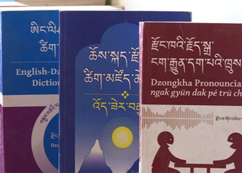 Many yet to use DDC’s newly coined or adopted words