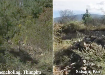 How parents are coping with the delayed justice- Dechencholing and Paro case updates