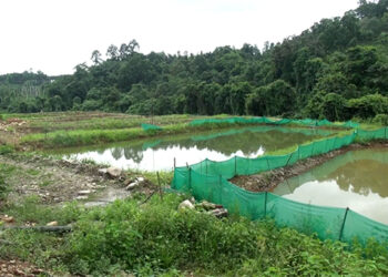 Second commercial fishery in Gelegphu aims to employ and supply enough