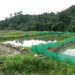 Second commercial fishery in Gelegphu aims to employ and supply enough
