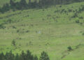 Community’s fear of losing pastureland puts mega solar project in jeopardy in Shingkhar, Bumthang