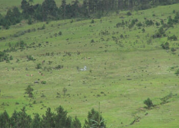 Community’s fear of losing pastureland puts mega solar project in jeopardy in Shingkhar, Bumthang