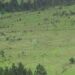 Community’s fear of losing pastureland puts mega solar project in jeopardy in Shingkhar, Bumthang