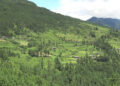 Bumthang people want old rural timber allotment rule reinstated