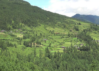 Bumthang people want old rural timber allotment rule reinstated