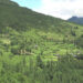 Bumthang people want old rural timber allotment rule reinstated