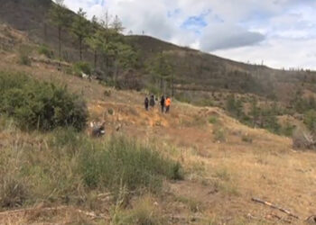 Police detain two men for allegedly stealing and slaughtering cattle