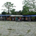 Lack of public toilet troubles vendors at Gelegphu Industrial Centre