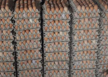 Egg price creeping higher, again