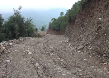 Road construction at Moonawong raises hope for the farmers, Pema Gatshel