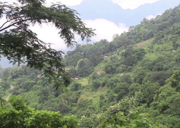 Construction of Dewathang–Nganglam highway to begin soon