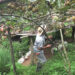International Youth Day: Opportunities for youth in farming