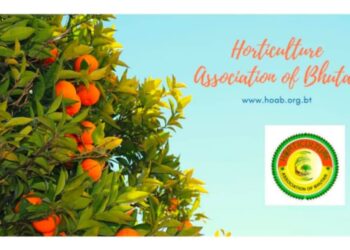 Horticulture Association of Bhutan launches its updated website to address market issue
