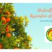 Horticulture Association of Bhutan launches its updated website to address market issue