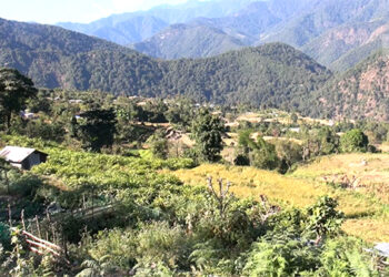 Many in Chhudzom Gewog under Sarpang want to exchange their land with government land