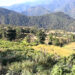 Many in Chhudzom Gewog under Sarpang want to exchange their land with government land