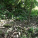 Electric fencing eases the lives of farmers- Wangling in Trongsa