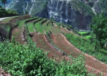 Land development to boost paddy cultivation- Rizor in Trashigang