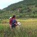 Farmers’ daily struggle against wild sparrow- Tang in Bumthang