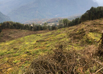 Kidu settlement for Layaps in Gasa will be ready by next winter